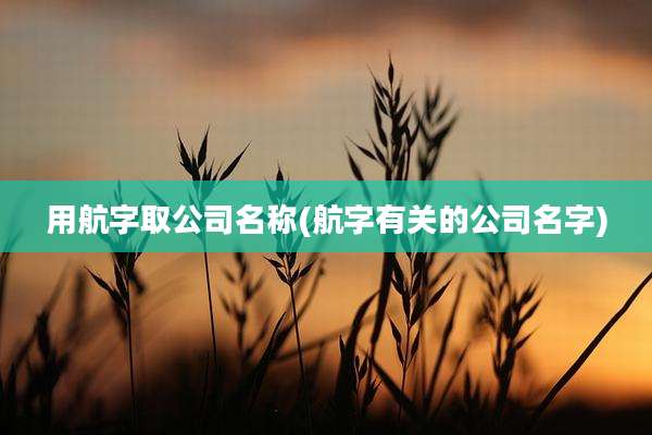 用航字取公司名称(航字有关的公司名字)