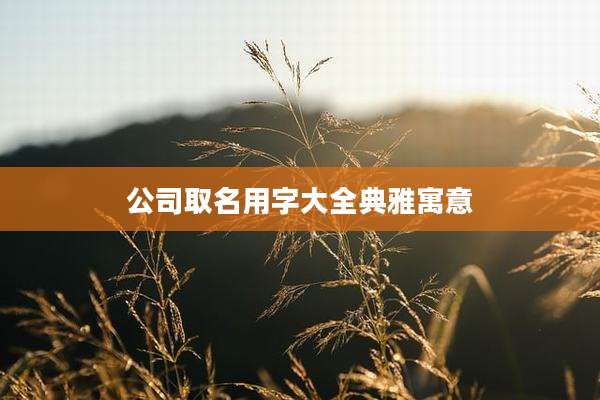 公司取名用字大全典雅寓意