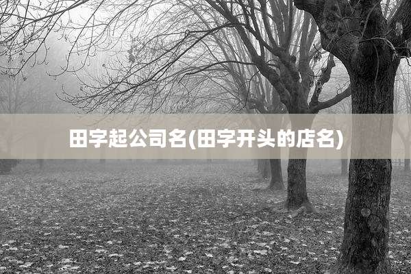 田字起公司名(田字开头的店名)