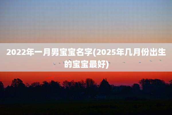2022年一月男宝宝名字(2025年几月份出生的宝宝最好)