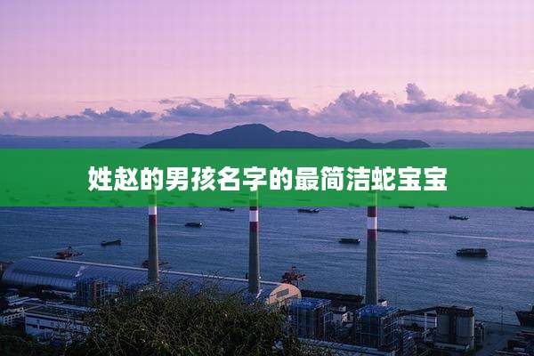 姓赵的男孩名字的最简洁蛇宝宝