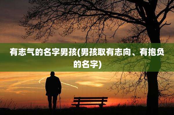 有志气的名字男孩(男孩取有志向、有抱负的名字)
