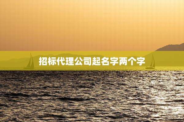招标代理公司起名字两个字
