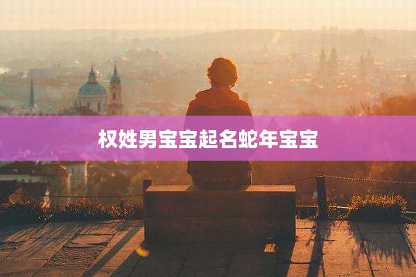 权姓男宝宝起名蛇年宝宝