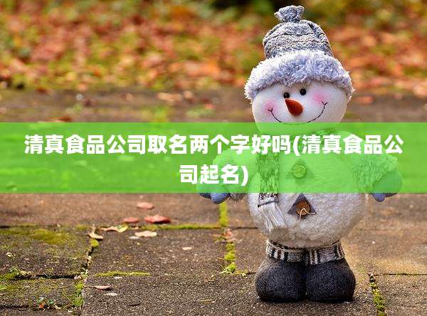 清真食品公司取名两个字好吗(清真食品公司起名)