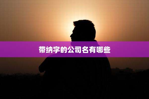 带纳字的公司名有哪些