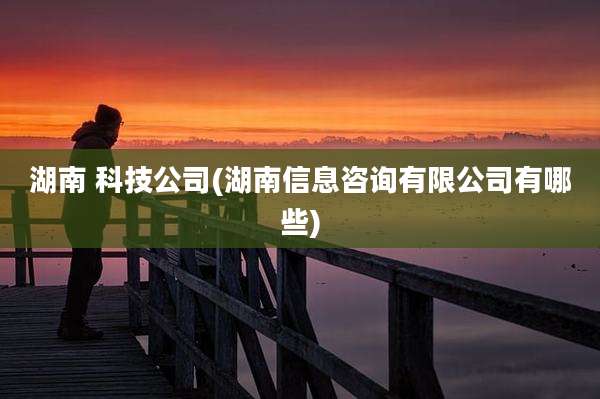 湖南 科技公司(湖南信息咨询有限公司有哪些)