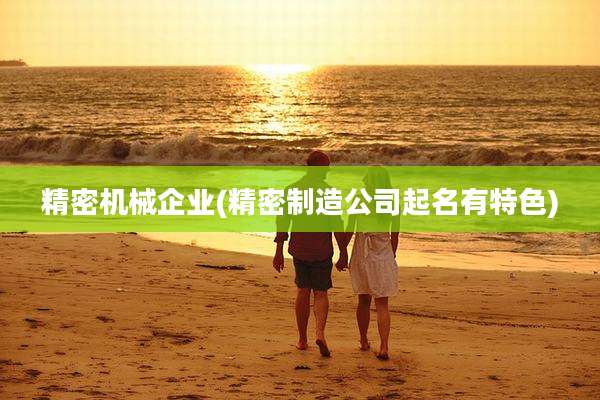 精密机械企业(精密制造公司起名有特色)