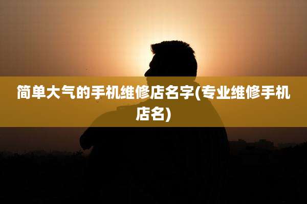 简单大气的手机维修店名字(专业维修手机店名)
