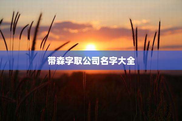 带森字取公司名字大全