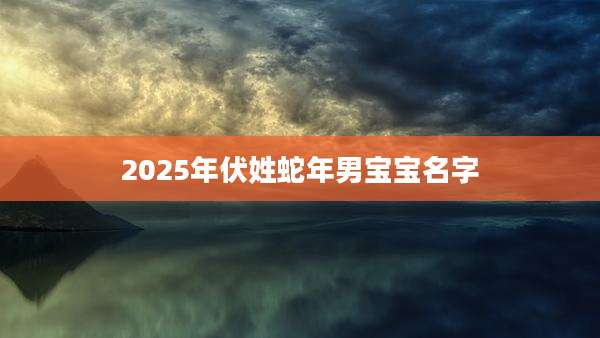 2025年伏姓蛇年男宝宝名字