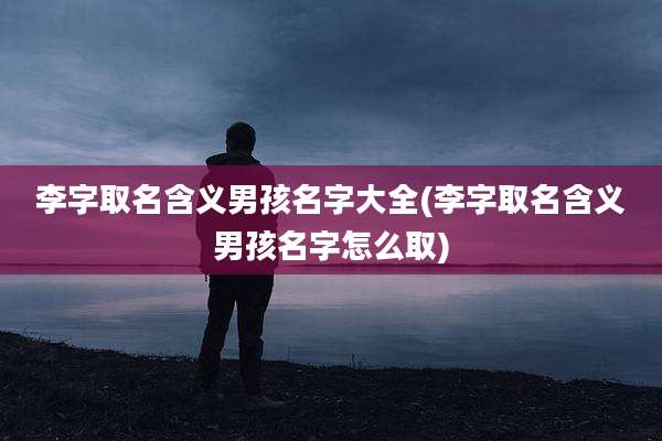 李字取名含义男孩名字大全(李字取名含义男孩名字怎么取)