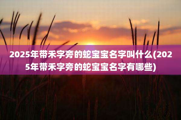 2025年带禾字旁的蛇宝宝名字叫什么(2025年带禾字旁的蛇宝宝名字有哪些)