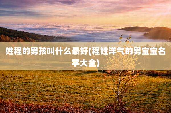 姓程的男孩叫什么最好(程姓洋气的男宝宝名字大全)