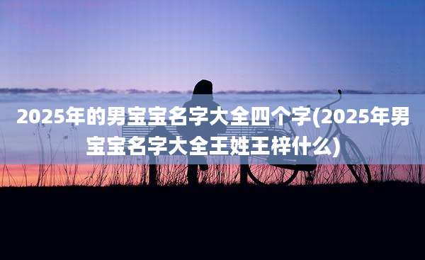 2025年的男宝宝名字大全四个字(2025年男宝宝名字大全王姓王梓什么)