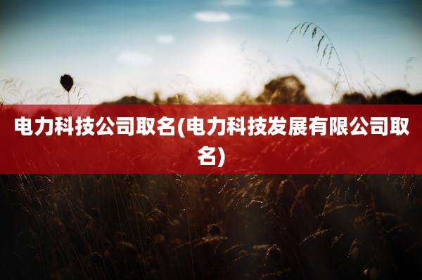电力科技公司取名(电力科技发展有限公司取名)
