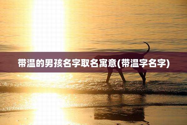 带温的男孩名字取名寓意(带温字名字)