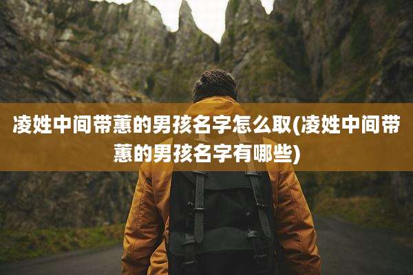 凌姓中间带蕙的男孩名字怎么取(凌姓中间带蕙的男孩名字有哪些)