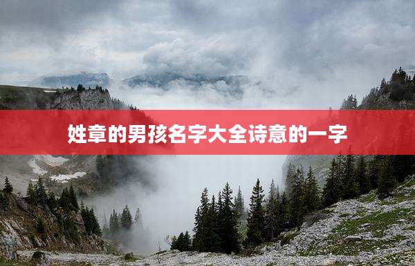 姓章的男孩名字大全诗意的一字