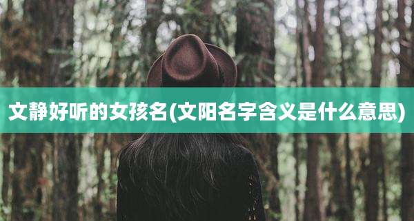 文静好听的女孩名(文阳名字含义是什么意思)