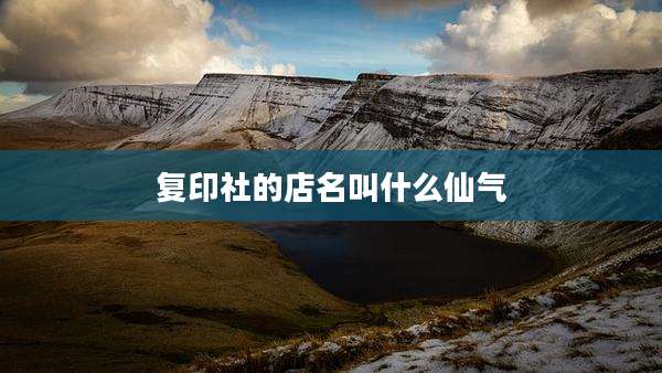复印社的店名叫什么仙气