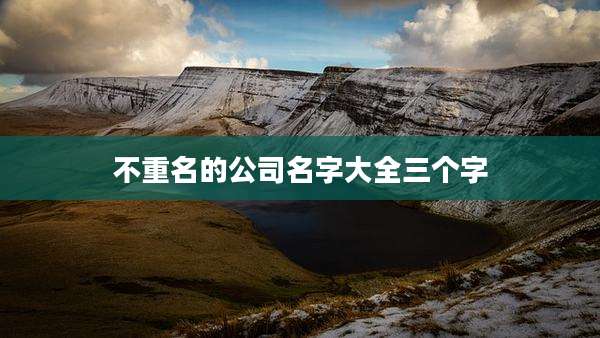 不重名的公司名字大全三个字
