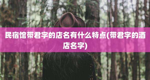 民宿馆带君字的店名有什么特点(带君字的酒店名字)