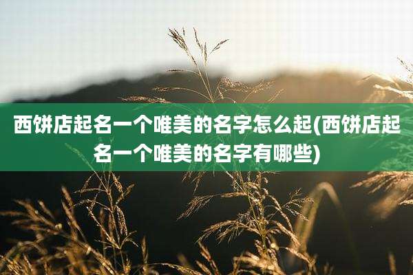 西饼店起名一个唯美的名字怎么起(西饼店起名一个唯美的名字有哪些)