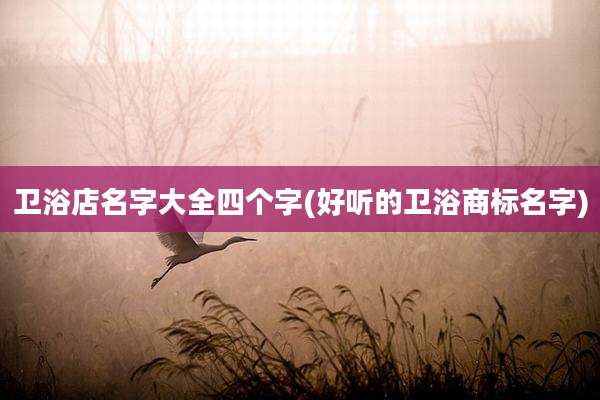 卫浴店名字大全四个字(好听的卫浴商标名字)