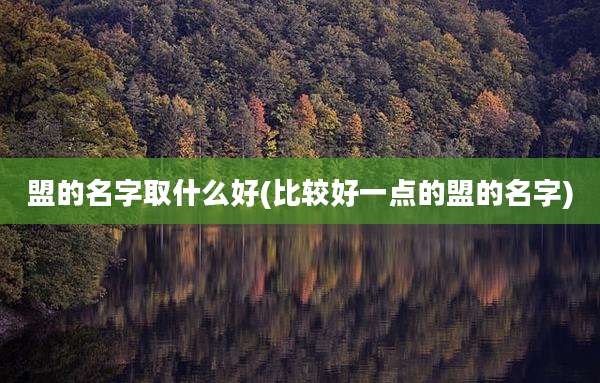 盟的名字取什么好(比较好一点的盟的名字)