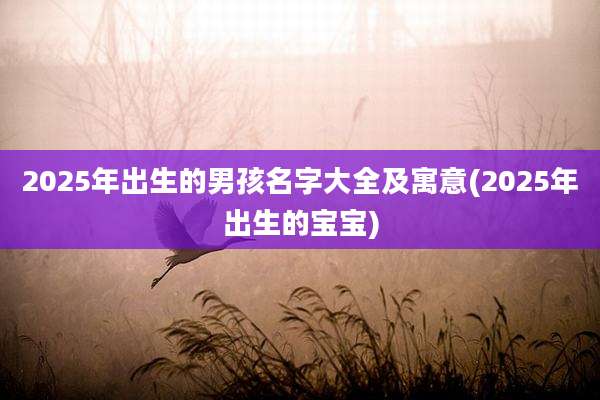 2025年出生的男孩名字大全及寓意(2025年出生的宝宝)