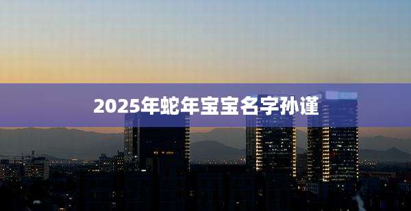 2025年蛇年宝宝名字孙谨
