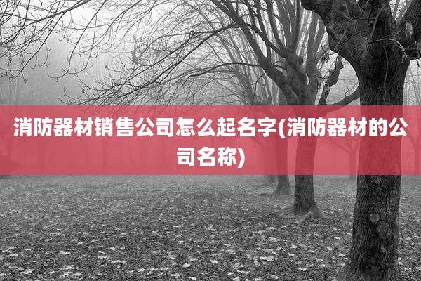 消防器材销售公司怎么起名字(消防器材的公司名称)