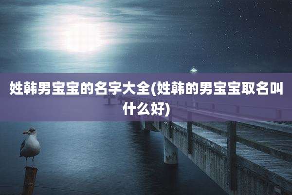 姓韩男宝宝的名字大全(姓韩的男宝宝取名叫什么好)