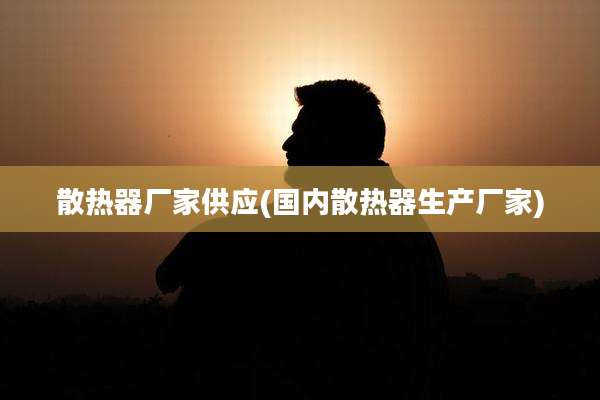 散热器厂家供应(国内散热器生产厂家)