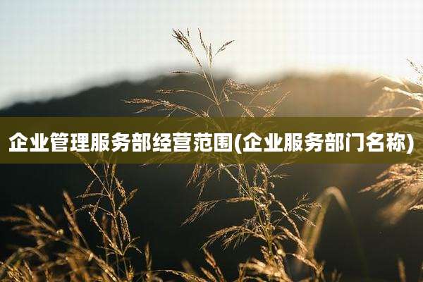 企业管理服务部经营范围(企业服务部门名称)