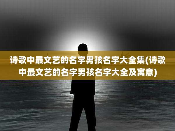 诗歌中最文艺的名字男孩名字大全集(诗歌中最文艺的名字男孩名字大全及寓意)