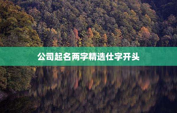 公司起名两字精选仕字开头