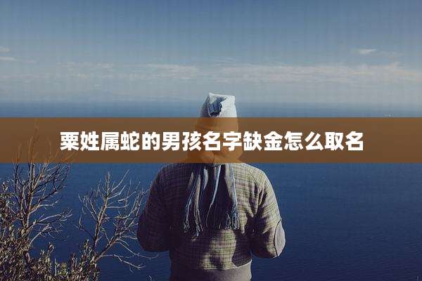 粟姓属蛇的男孩名字缺金怎么取名