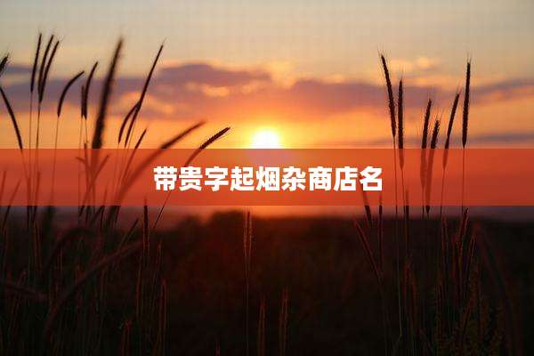 带贵字起烟杂商店名