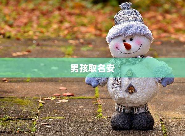 男孩取名安