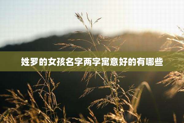 姓罗的女孩名字两字寓意好的有哪些