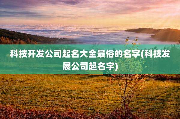 科技开发公司起名大全最俗的名字(科技发展公司起名字)