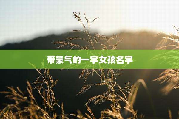 带豪气的一字女孩名字