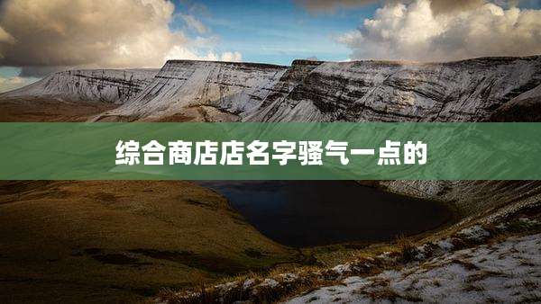 综合商店店名字骚气一点的