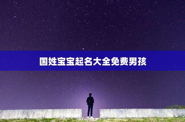 国姓宝宝起名大全免费男孩
