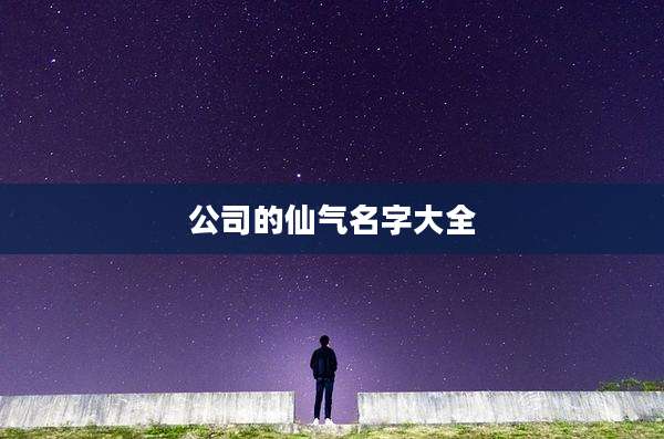 公司的仙气名字大全