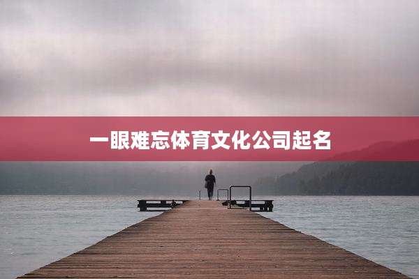 一眼难忘体育文化公司起名