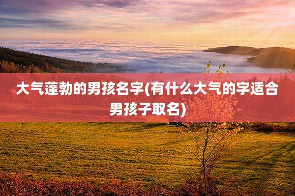 大气蓬勃的男孩名字(有什么大气的字适合男孩子取名)
