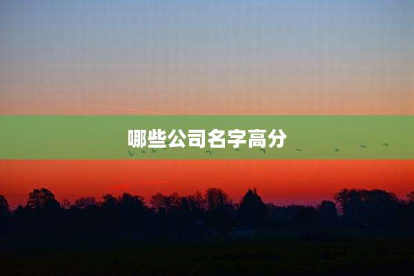 哪些公司名字高分